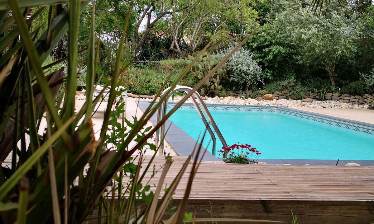 Carcassonne House | House in its wild garden