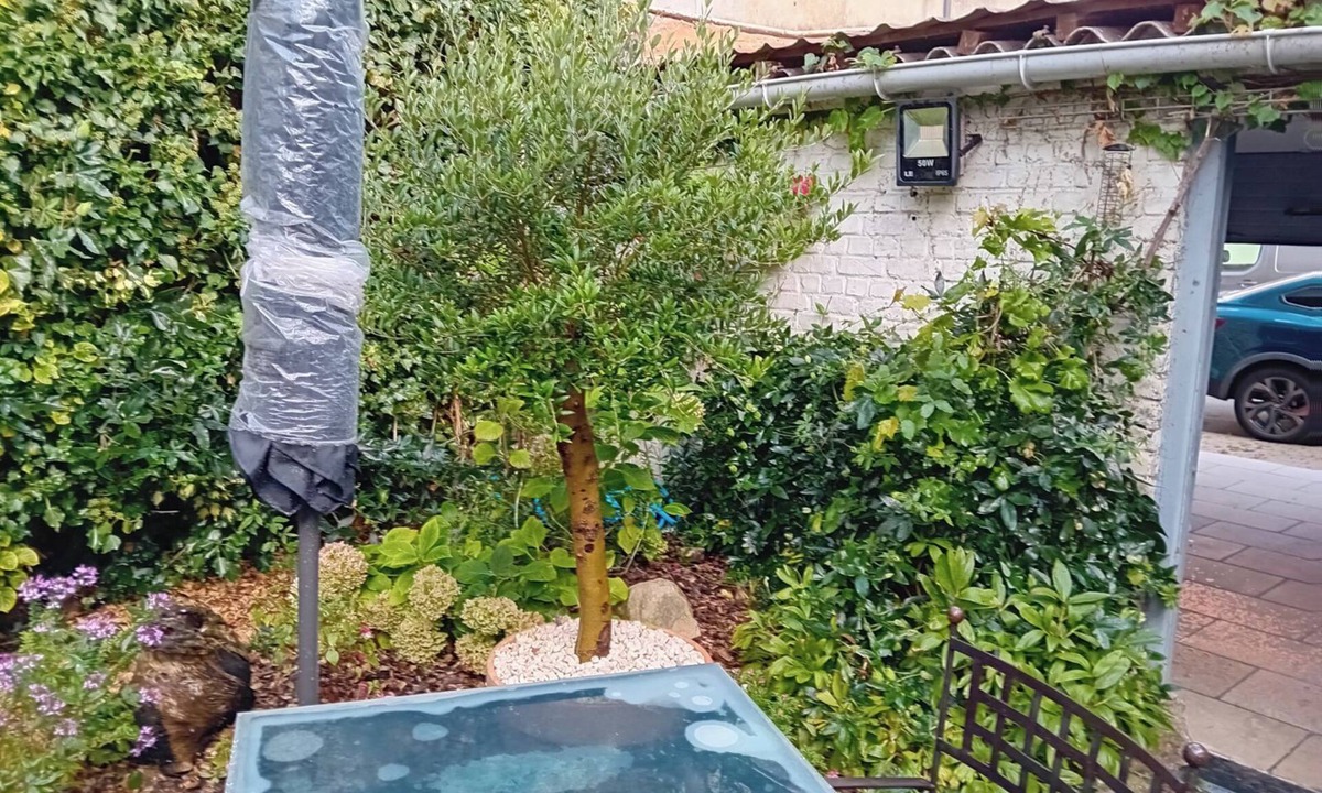 Gravelines House | HOUSE IN THE MOAT