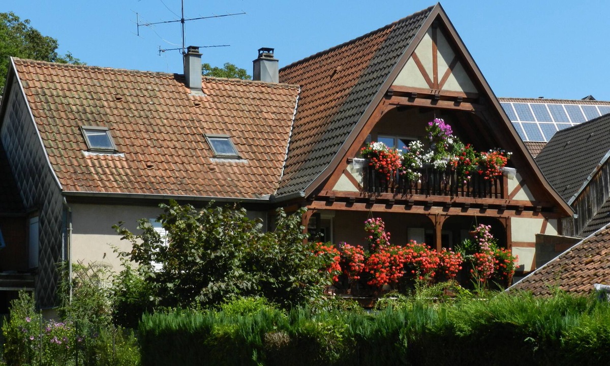 Triembach-au-Val House | House "Les Prés de Malou" - 3 Epis