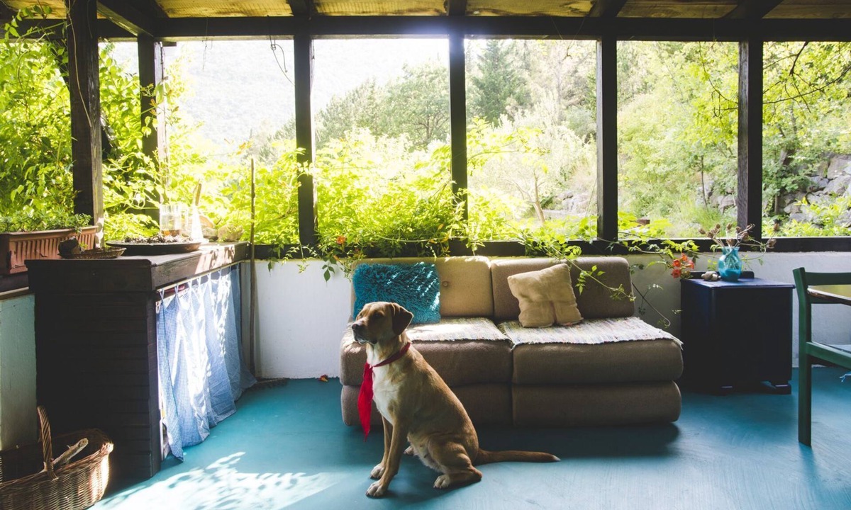 Omis House | House Murtila. Green dream in Cetina canyon