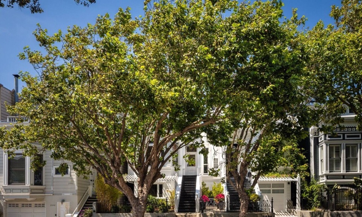 North of the Panhandle House | House Of Light