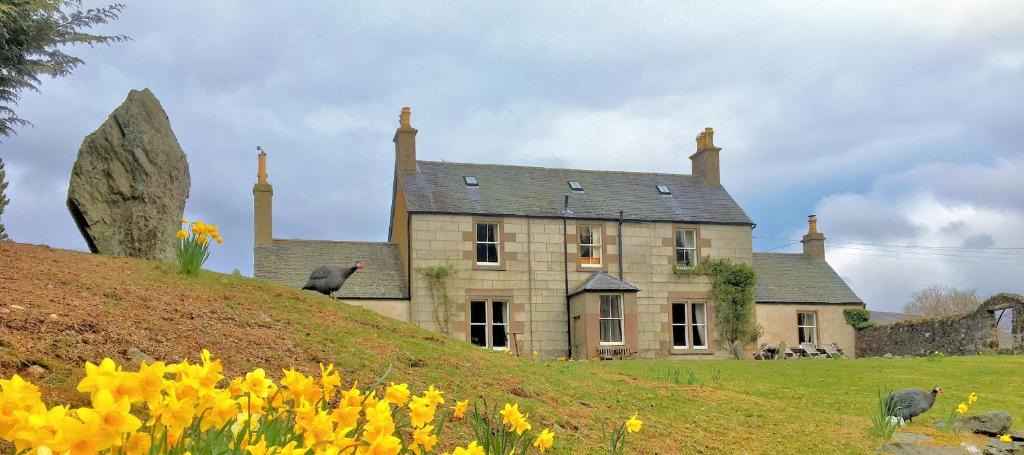 Glenesk House | House of Mark