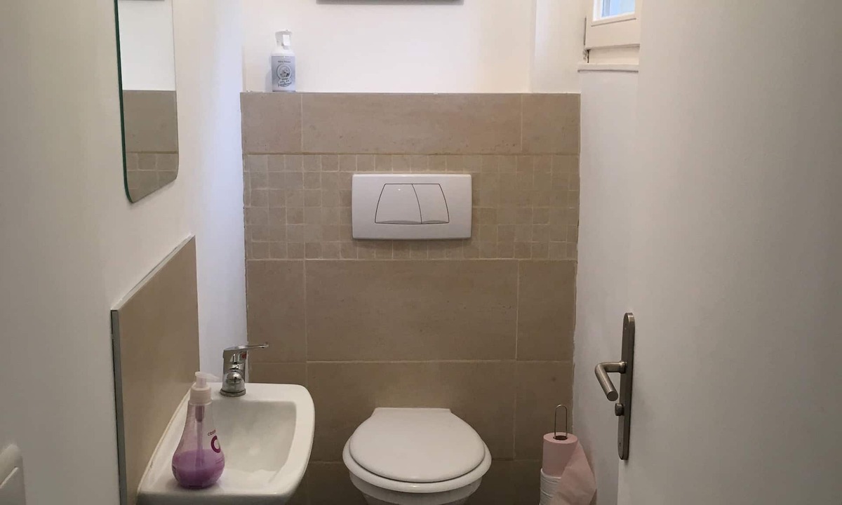 Vendeuvre-sur-Barse House | House: the big deer