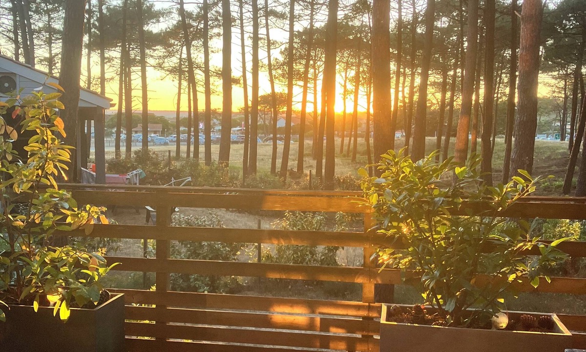 Carcans Plage House | House/Villa - CARCANS PLAGE