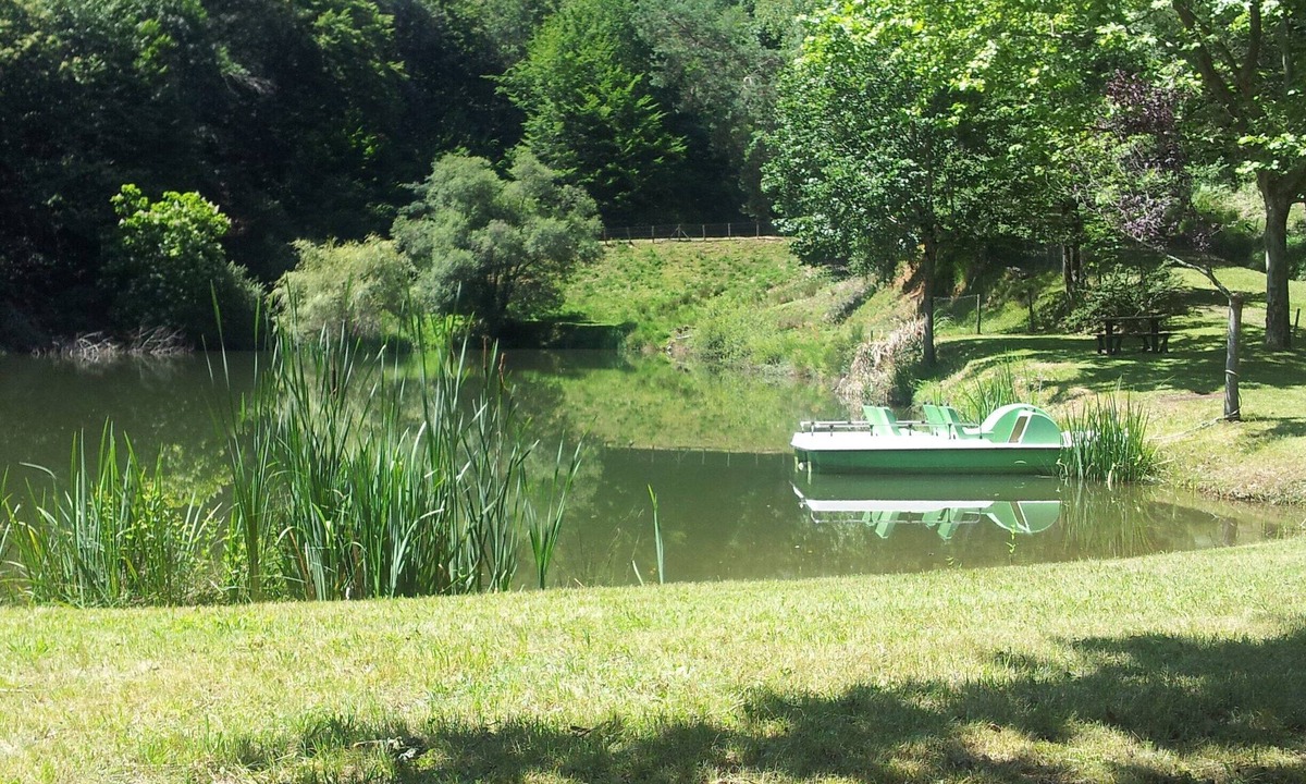 Saint-Hilaire-Peyroux House | House with private ponds