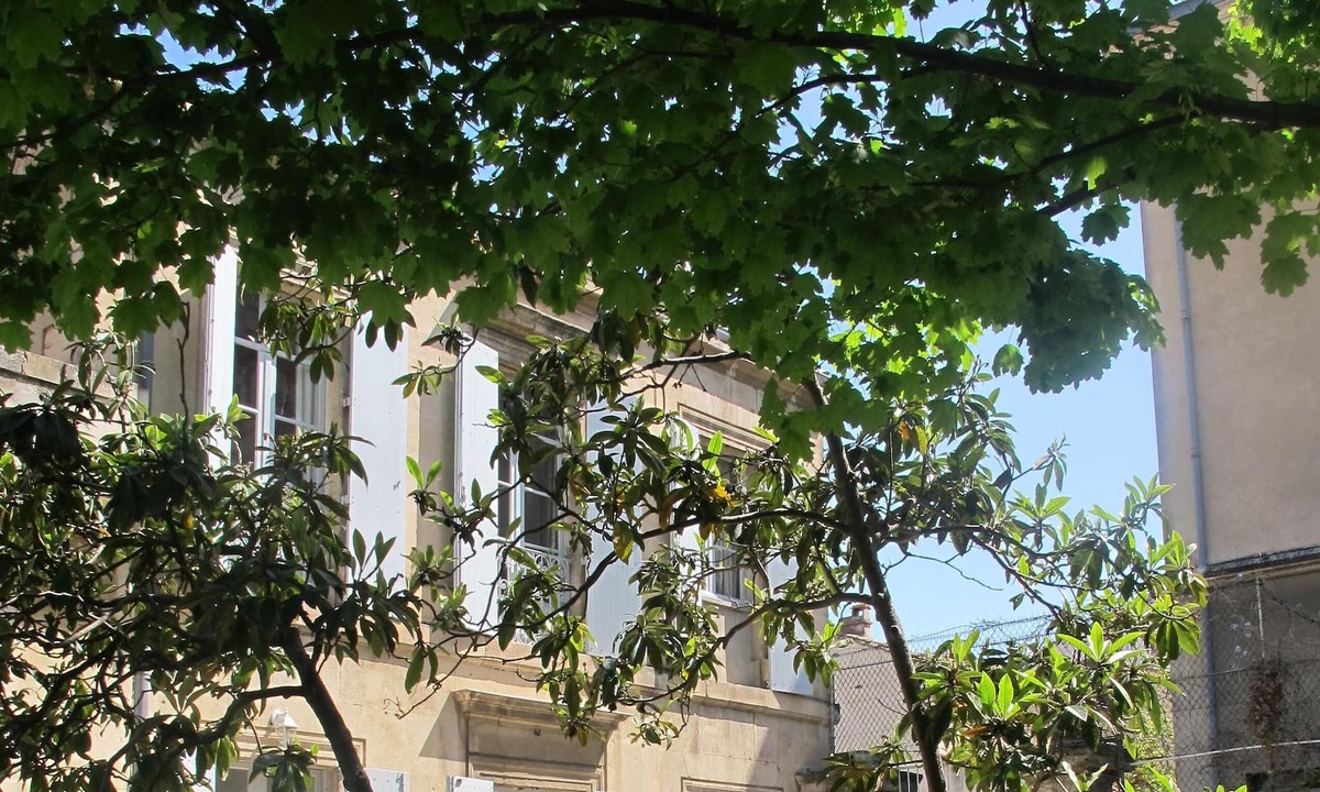 Historic Centre House | House with pool, Montpellier heart of town