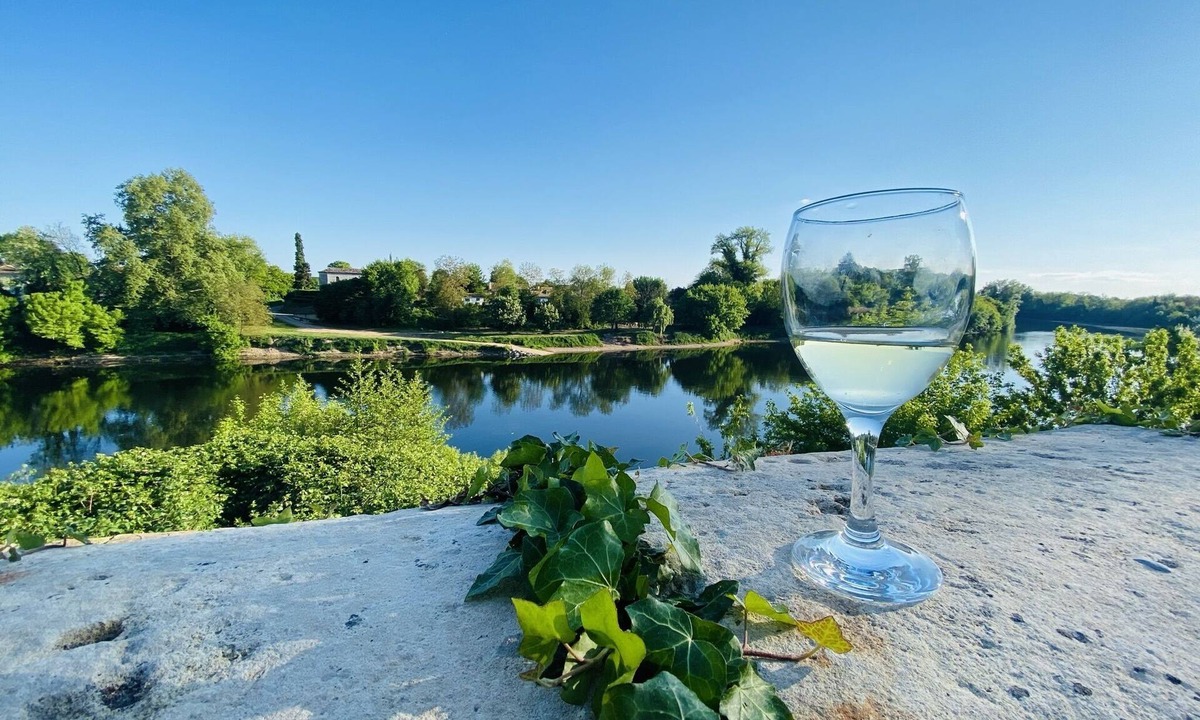 La Force House | House with private pool and jacuzzi, panoramic river view