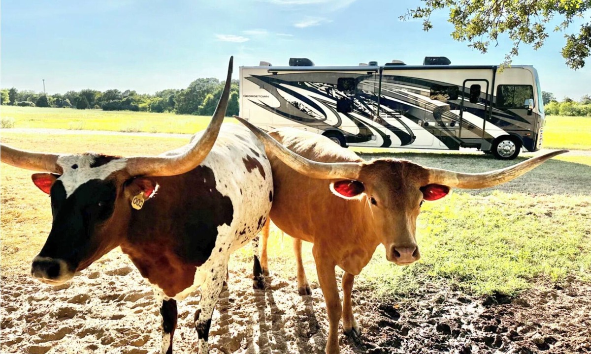 Elgin House | Howdy RV - 2023 Luxury Motor Coach - Sleeps 10