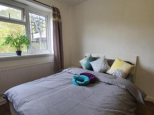 Haggerston House | Hoxton Rooms E2