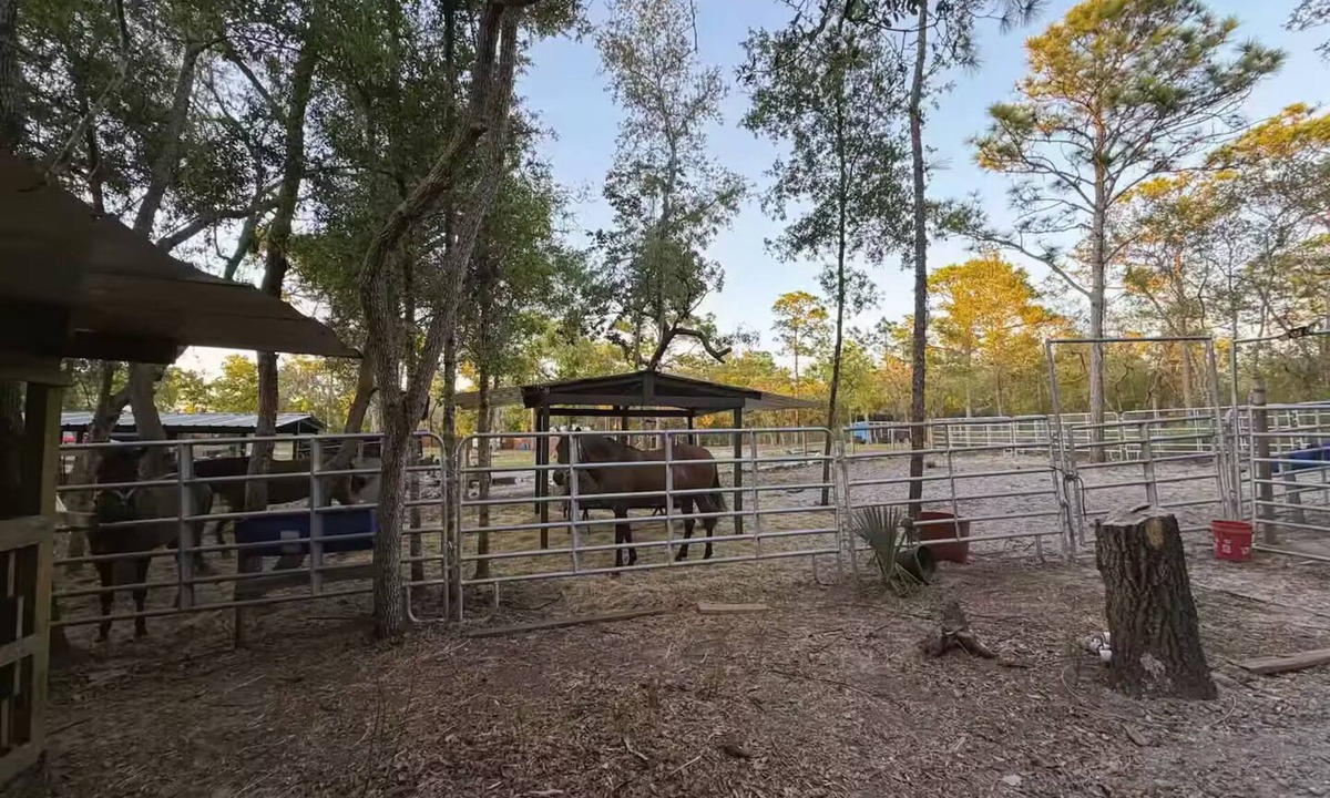 Highlands House | Hudson Horse Ranch