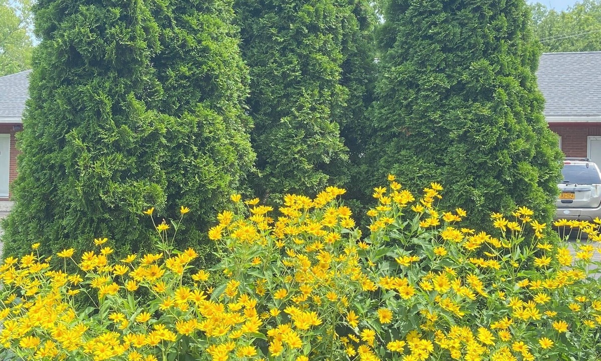 Lake Katrine Hotel | Hudson Valley 9w Motel