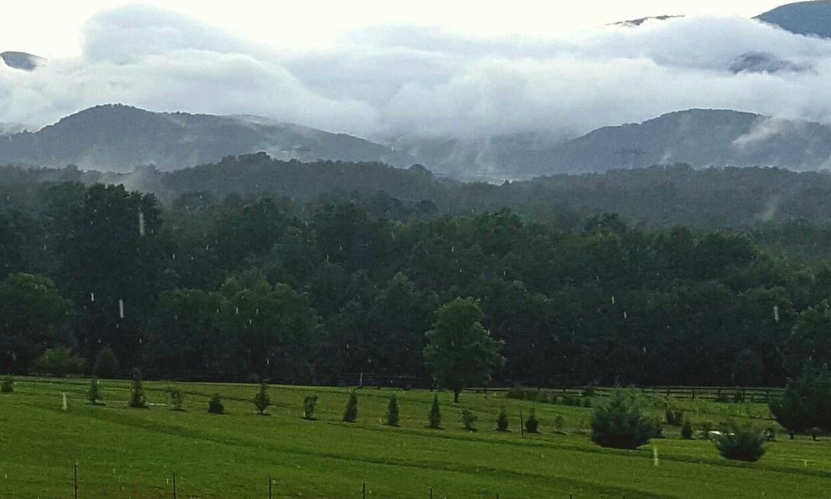 Landrum House | Huge Panoramic Mountain View, KING Bed, Office, Relaxing