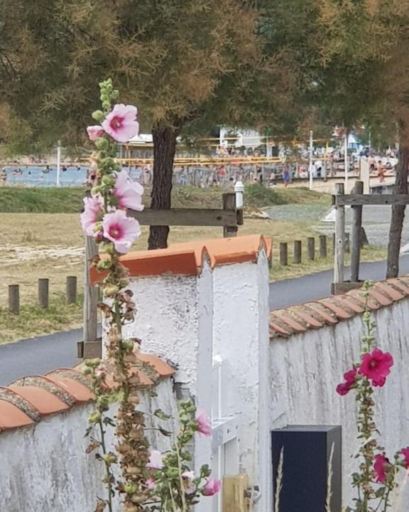 Marennes House | Huitres et mer