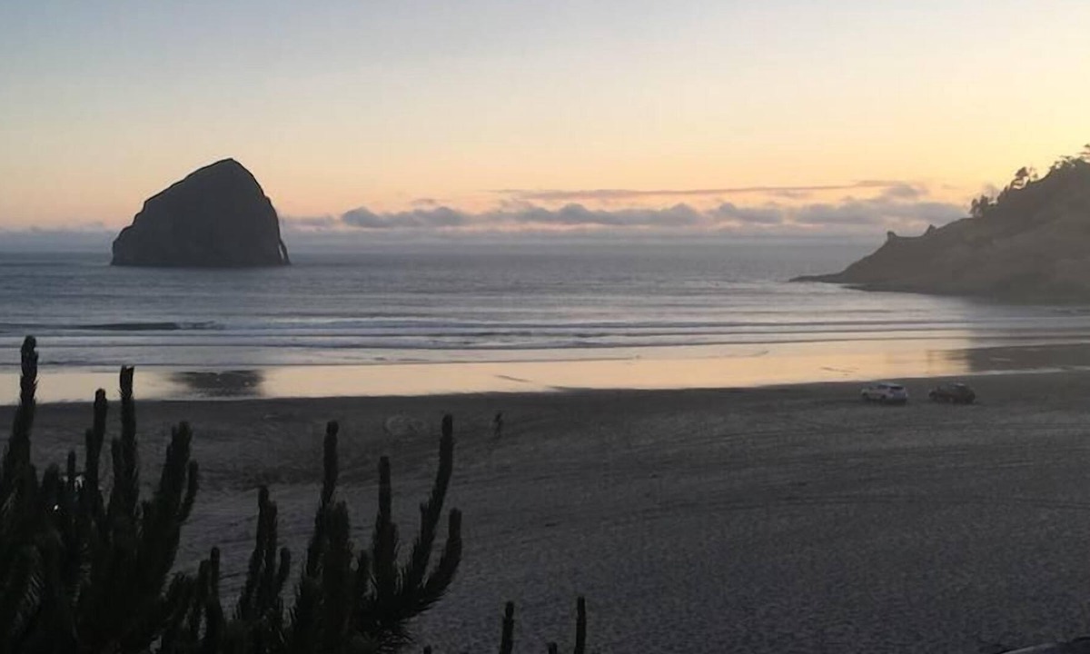 Shorepine Village House | Hummingbird Hollow