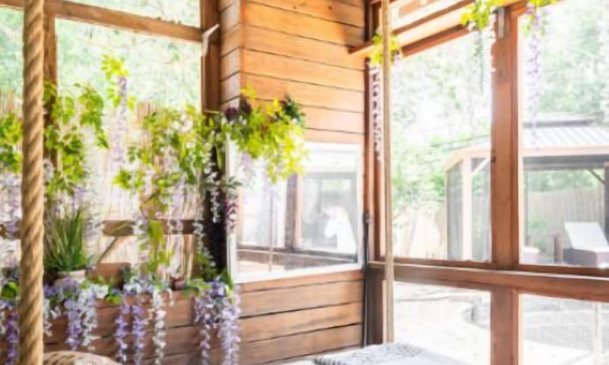 Westbury House | Hummingbird