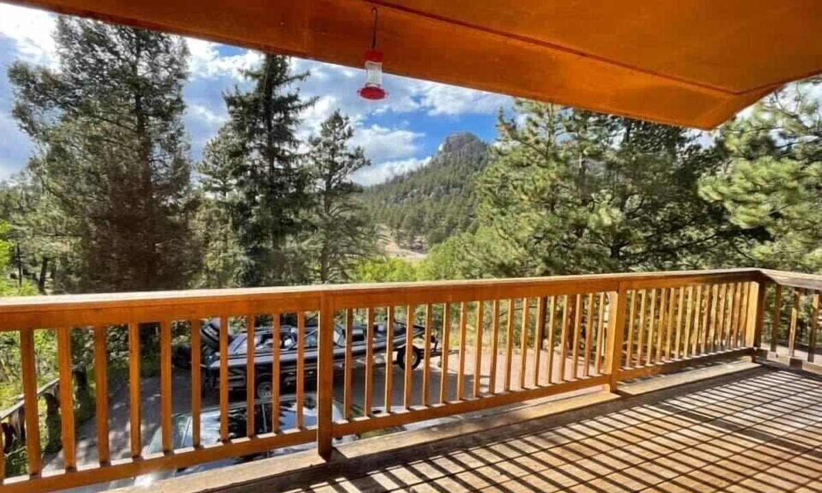 Lake George House | Hummingbirds have arrived