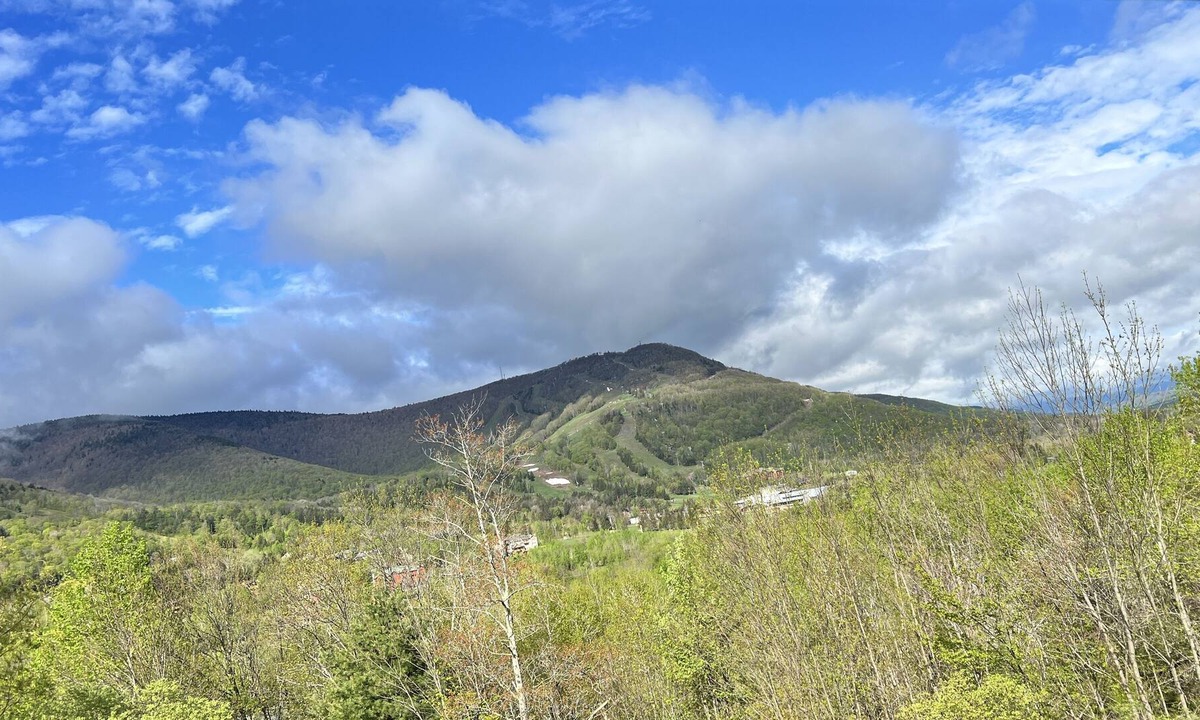 Hunter House | Hunter Mountain View Townhome - 3mins to Ski Slopes