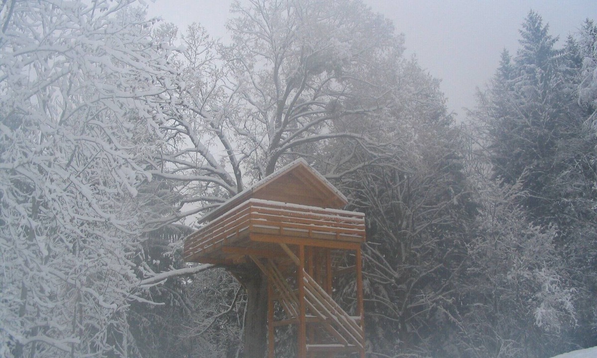 Ecole Ski Chalet | Hut perched on the edge of one of the most beautiful animal reserve in France