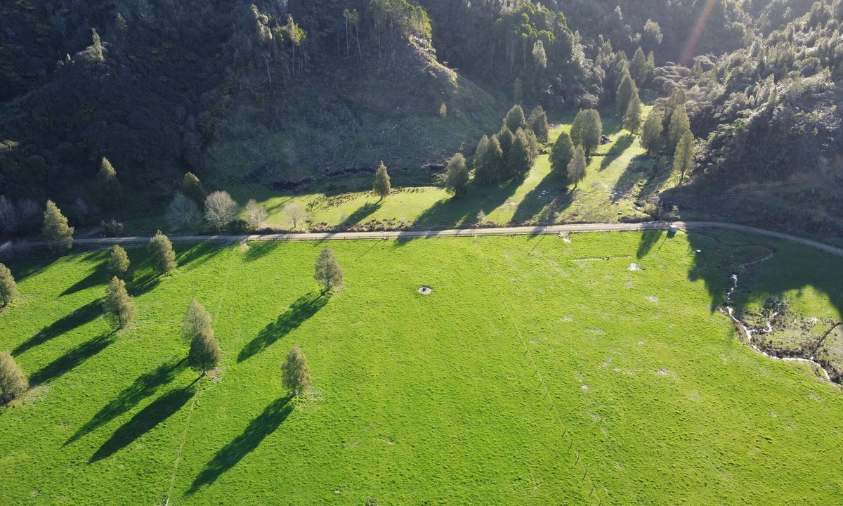 Tongaporutu House | Hutiwai hideaway cottage