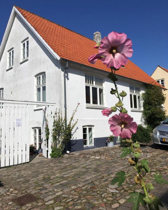 Syddjurs Kommune Apartment | Hyggelig lille lejlighed