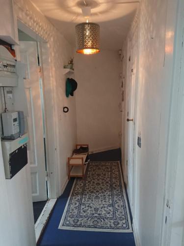 København V Apartment | Hyggeligt lejlighed tæt på hovedbanegården