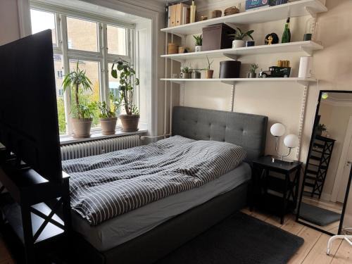 Osterbro Apartment | Hyggeligt værelse centralt i Kbh