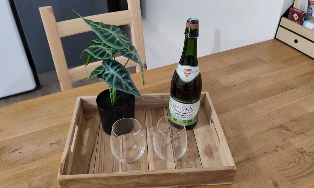 Quartier Saint-Marc - Croix de Pierre - Saint-Nicaise Apartment | Hypercentre/CHU - design and functionality