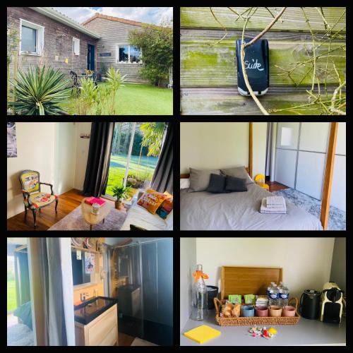 Ligne Apartment | IBI ENJOY la Suite