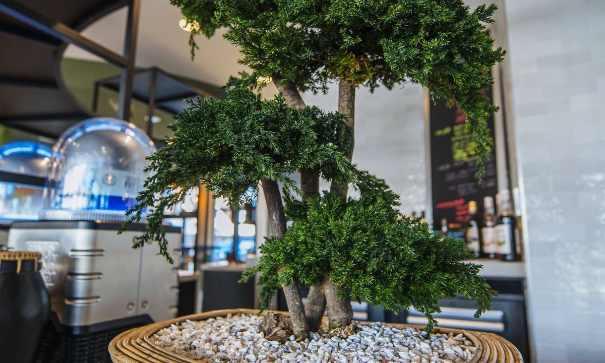 Quartier Saint-Clement - Jardin des Plantes Hotel | ibis budget Rouen Centre Rive Gauche