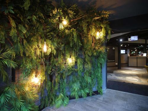 Lisses Hotel | ibis Styles Evry Lisses