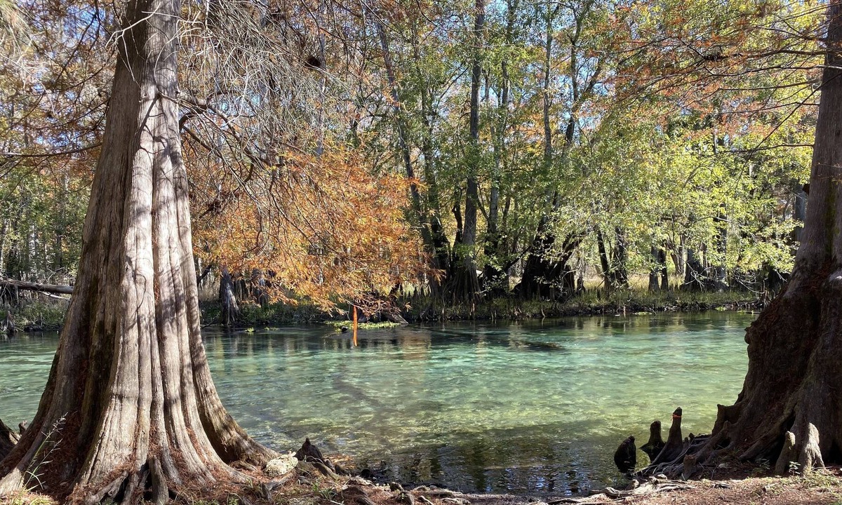Branford House | Ichetucknee River house
