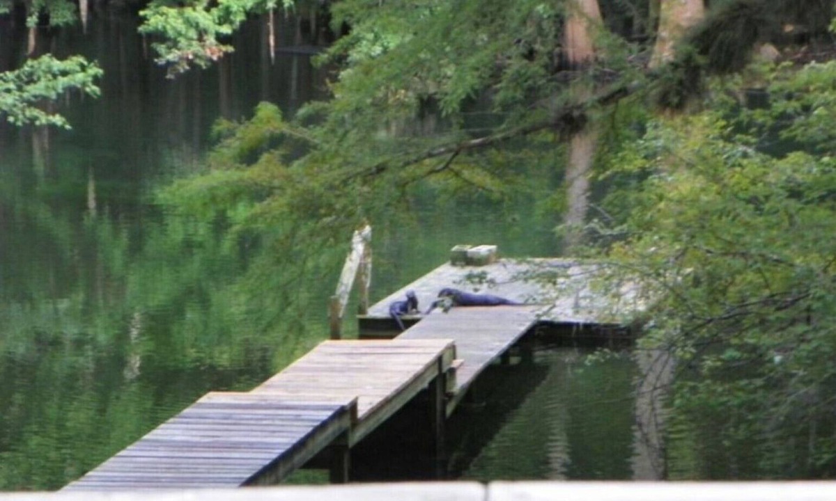 Fort White House | ICHETUCKNEE RIVER - Riverfront on the Crystal Clear Ichetucknee River