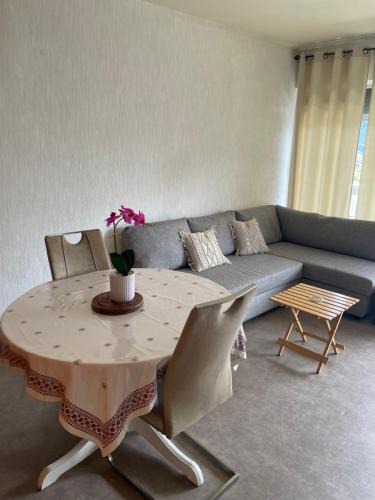 Gaillard Apartment | Idéal frontalier 15 min centre Geneve