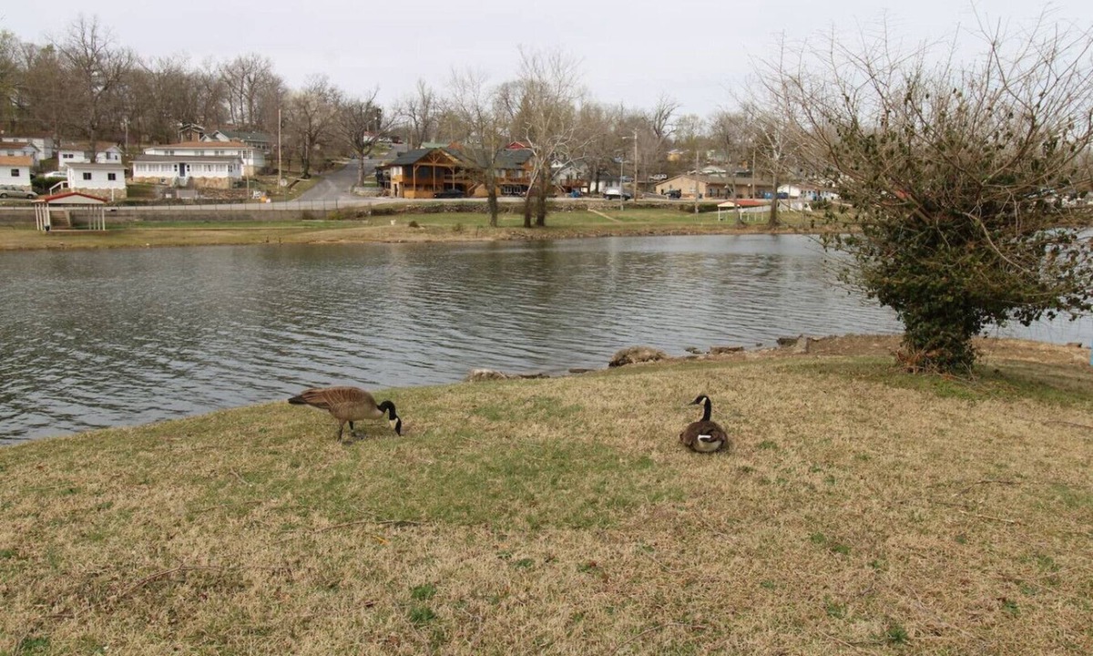 Rockaway Beach Cabin | Idlewild at Duck Harbor Resort