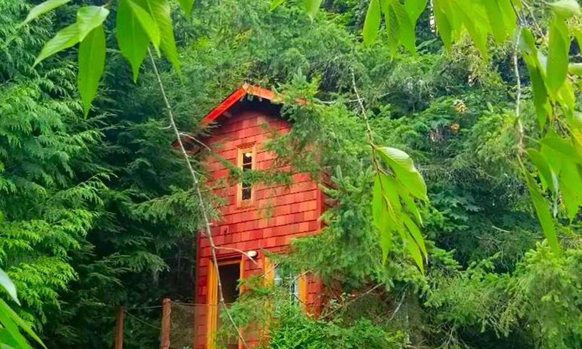 Snohomish House | Idyllic Tree House Rental with a Cozy Fireplace in Snohomish, Washington