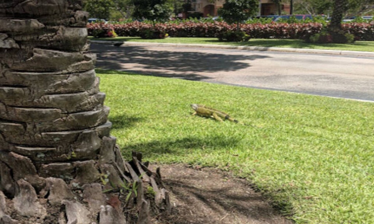 Survey Creek Condo | If There's a Will, There's a WAVE!