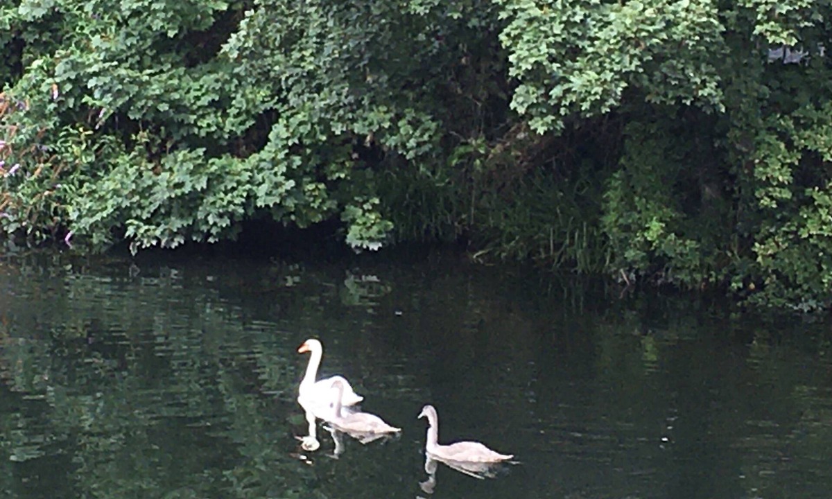 Attleborough House | Impeccable 2-bed House in Attleborough