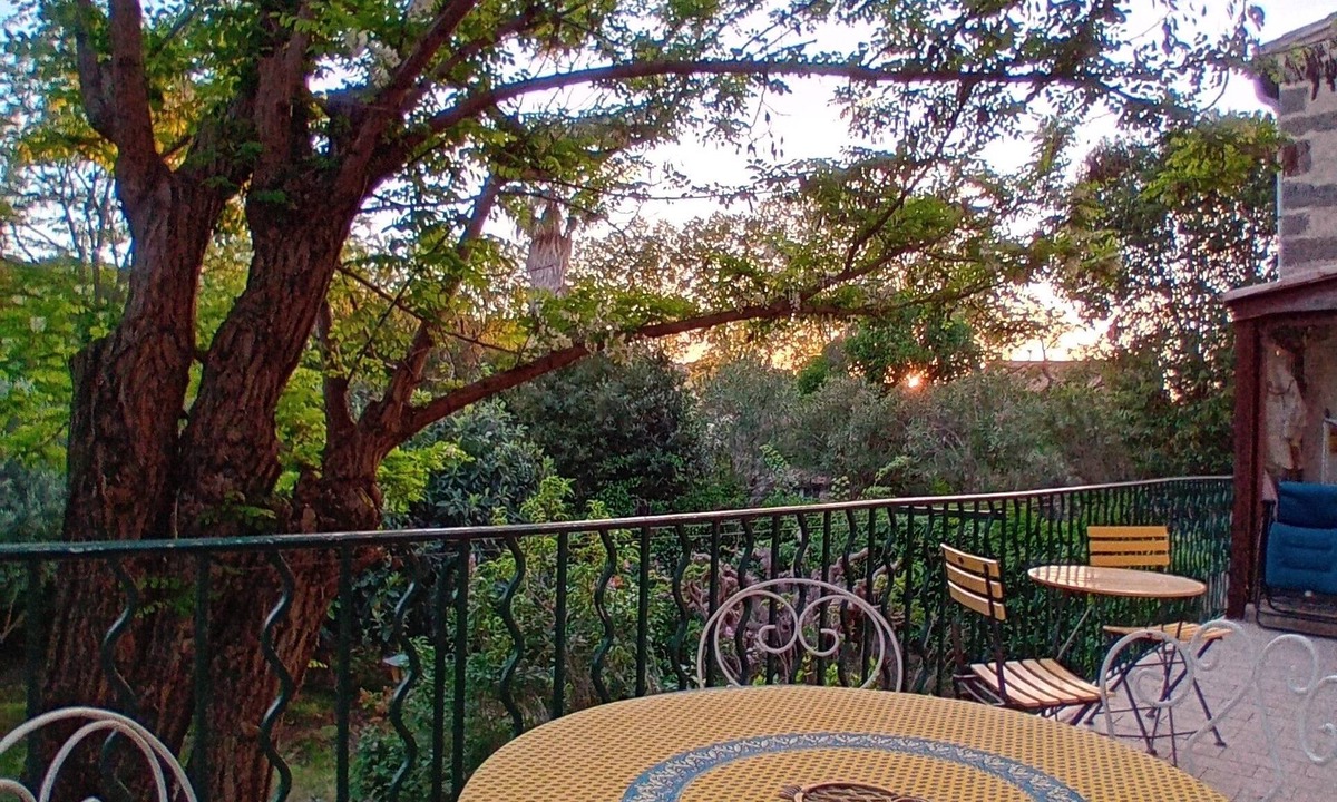 Nizas Apartment | In the shade of the accacia tree
