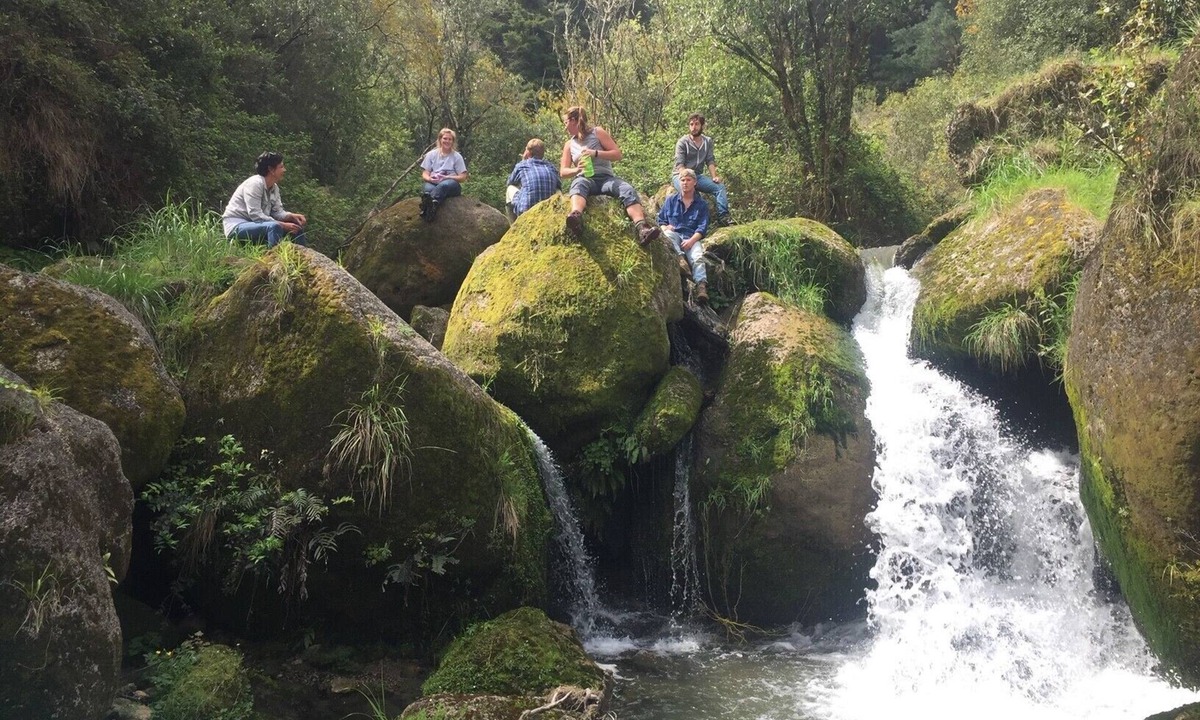 Te Haroto Other | Incredible Farm Experience