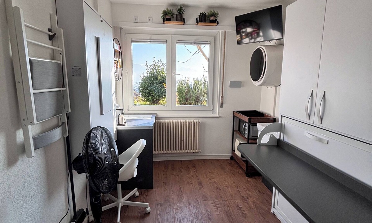 Pully Apartment | Incredible room with lake view and washing machine - Grape Place Bellevue