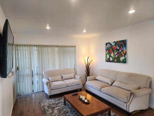 Henderson House | Incredible Waitakere View