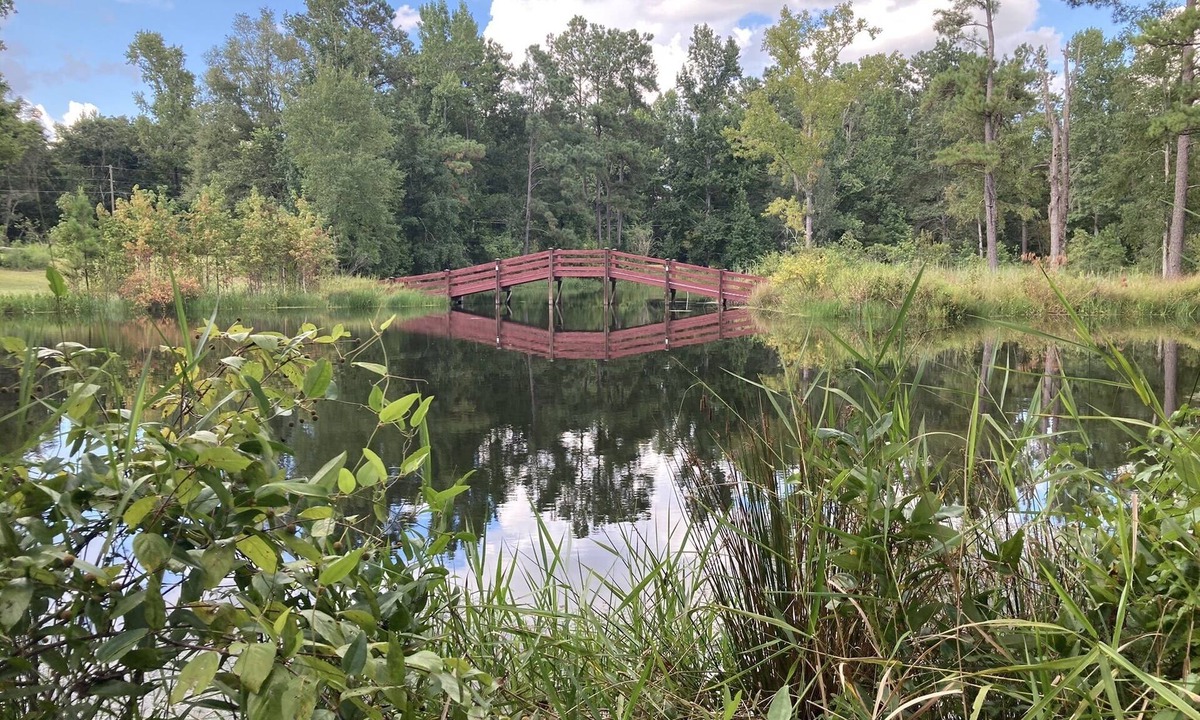 Tallahassee House | Incredible water views!