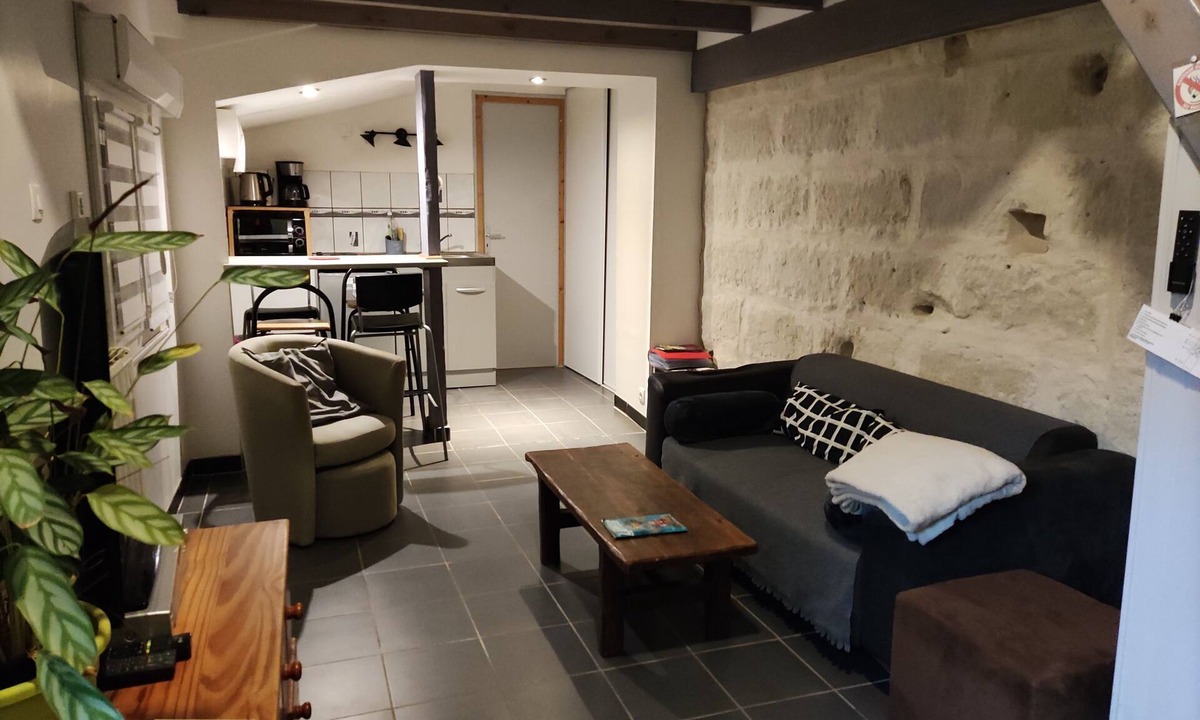Nazelles-Negron Apartment | Independent apartment in Amboise