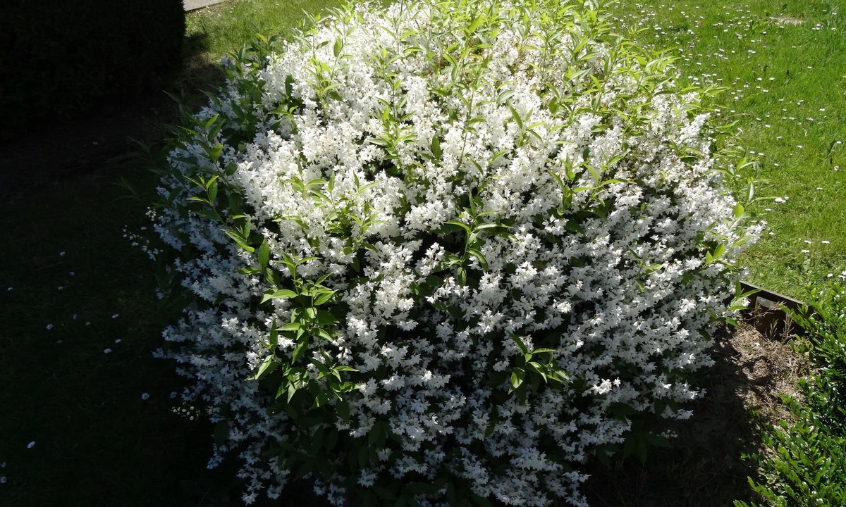 Saint-Aubin-sur-Scie Hotel | initial by balladins Dieppe
