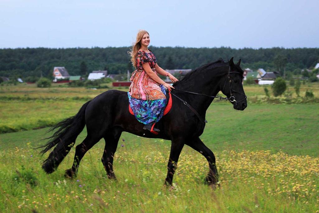 Pechki Hotel | Inn First Horse