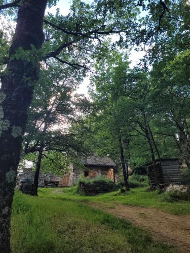 Arnac-sur-Dourdou Other | Insolite bergerie dans la forêt
