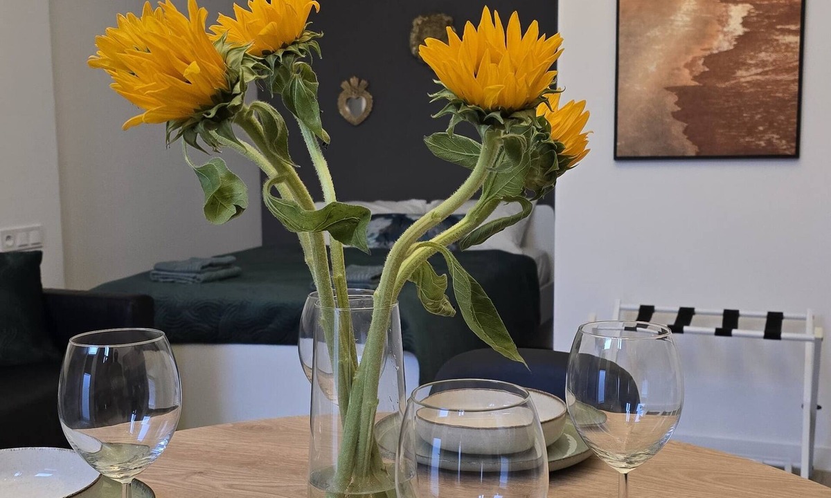 Ciutat de les Arts i les Ciencies Apartment | Inspiracion Valencia