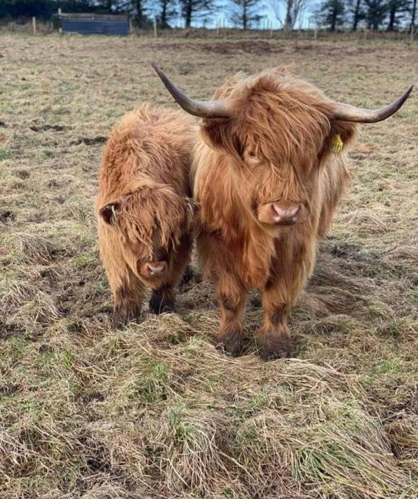 Keith Apartment | Isla Way Stays