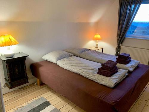 Skaerbaek Apartment | Jægergård