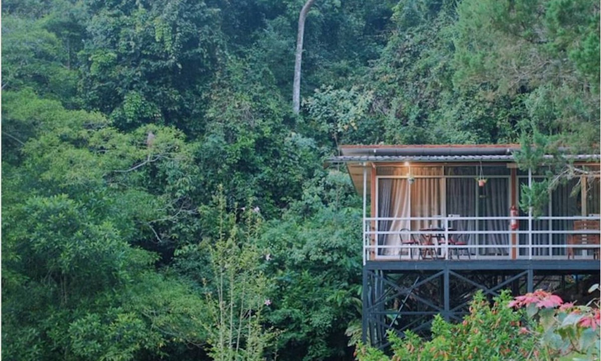 Kinabalu Park Cabin | J Residence